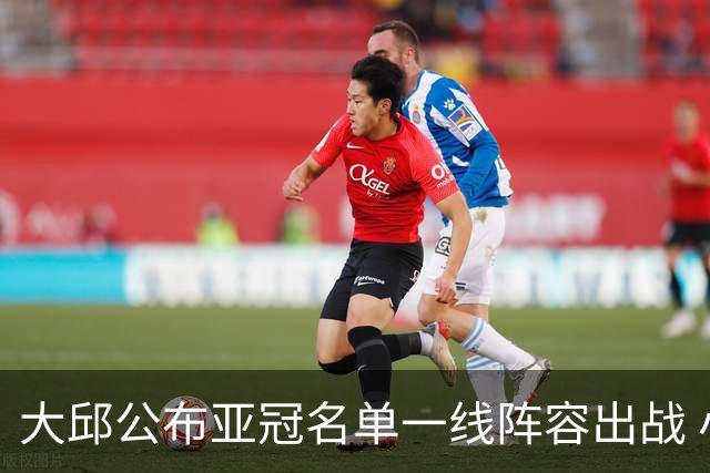 大邱公布亚冠名单一线阵容出战 小组赛将两战国安