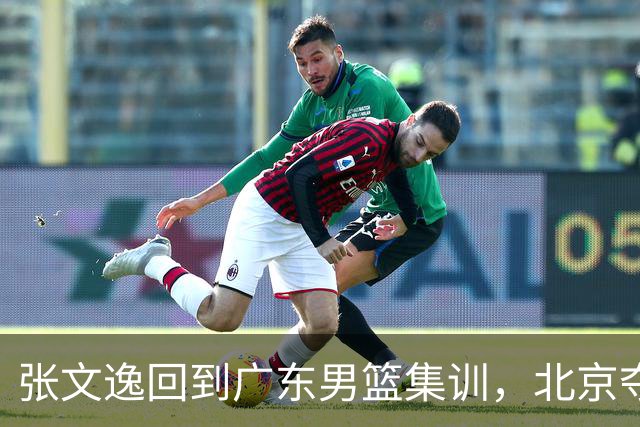 张文逸回到广东男篮集训，北京夺冠功勋确定退役，上海欲续约弗格